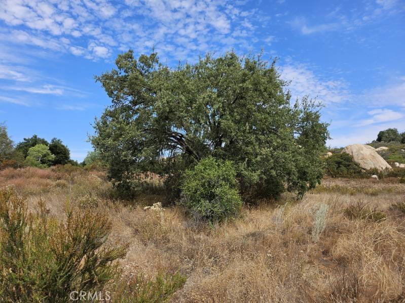 Murrieta, CA 92562,0 Calle Los Pericos