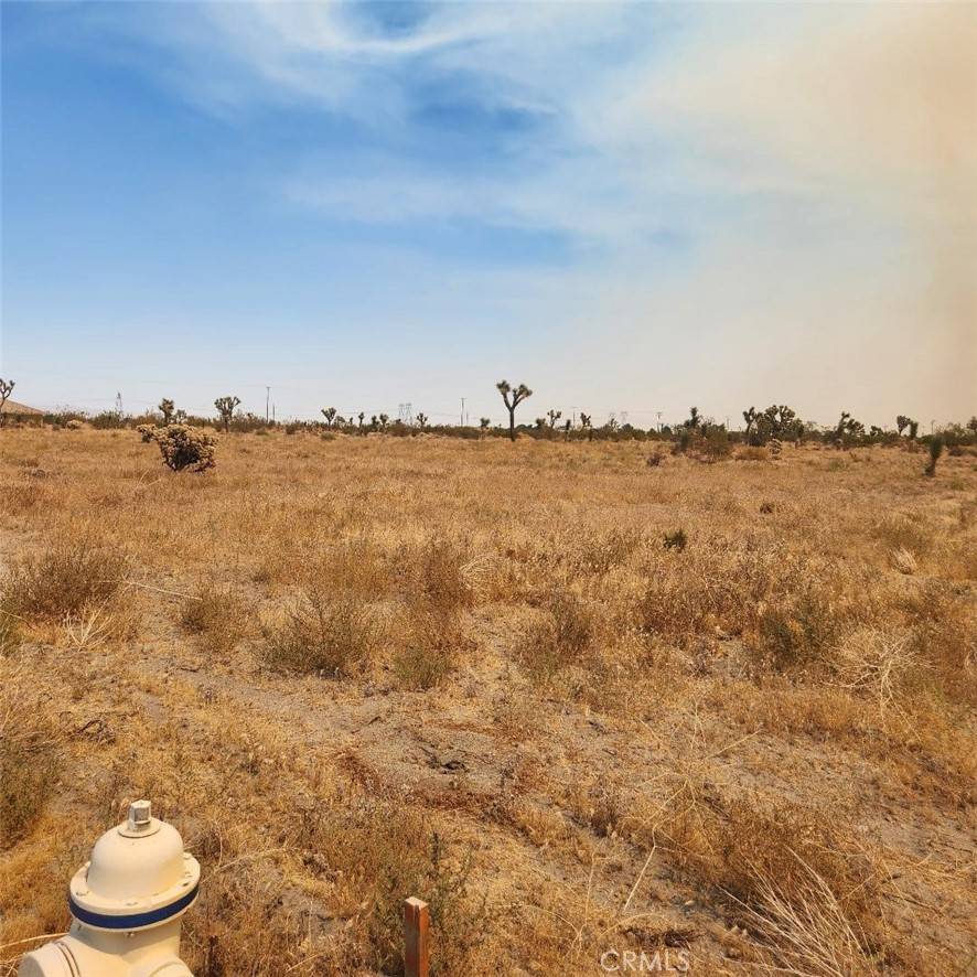 Pinon Hills, CA 92372,1590 Saratoga RD