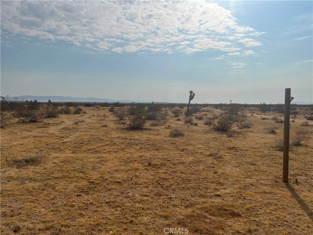 Landers, CA 92285,338 Stable RD