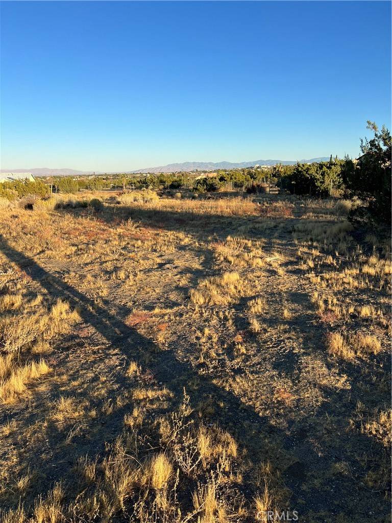 Pinon Hills, CA 92372,0 Elsinore
