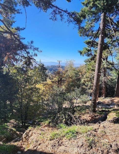 Twin Peaks, CA 92391,900 Lo LN