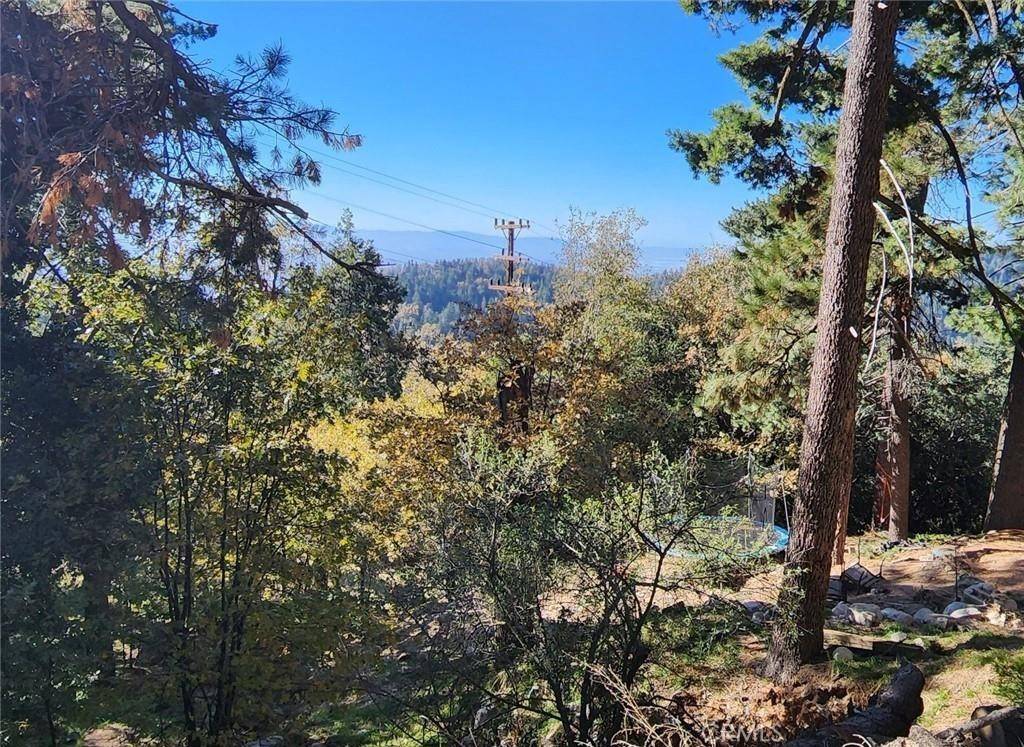 Twin Peaks, CA 92391,900 Lo LN