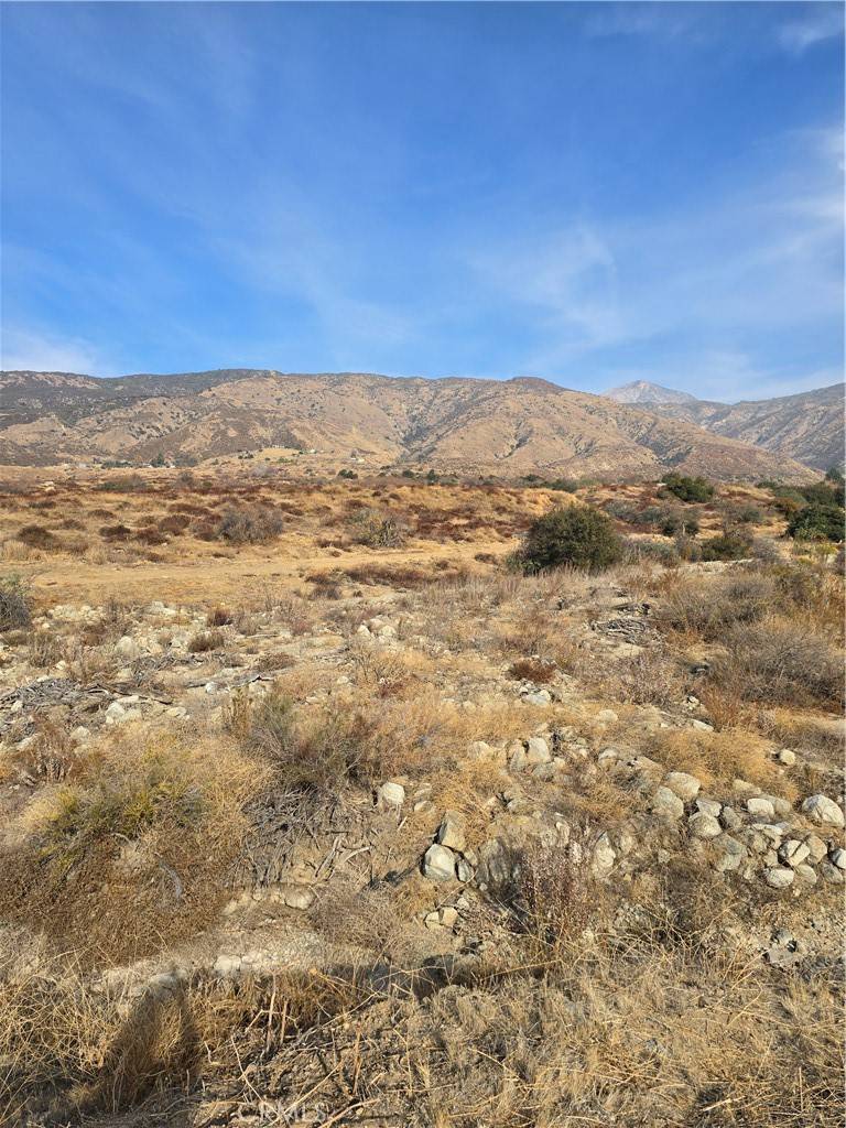 Yucaipa, CA 92399,0 Yucaipa Ridge RD