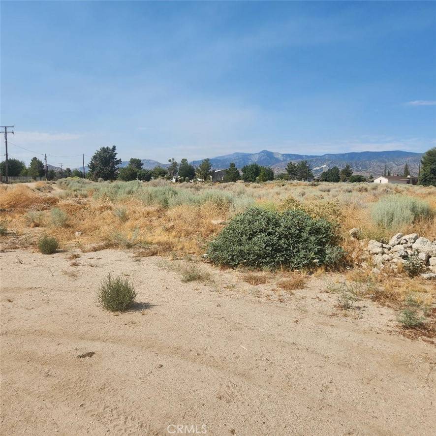 Phelan, CA 92371,0 Riggins