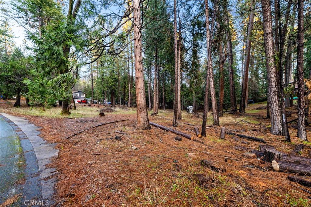 Pioneer, CA 95666,1 Old Madrone RD