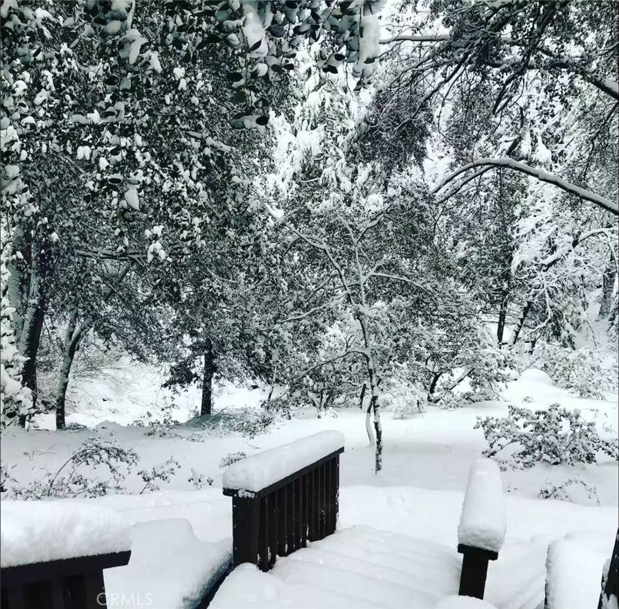 Idyllwild, CA 92549,25370 Point Of Rocks RD