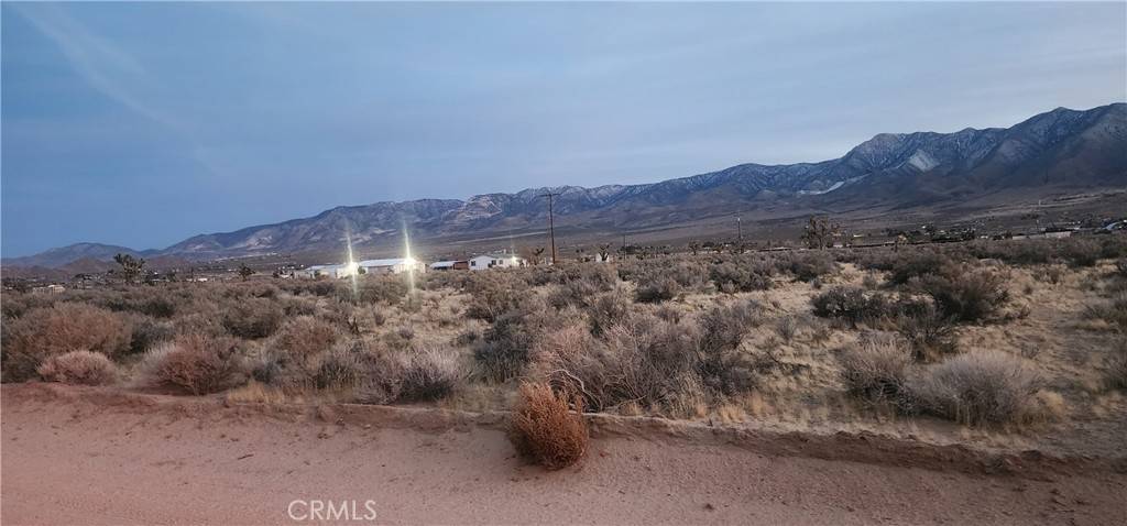 Lucerne Valley, CA 92356,0 Alamo AVE