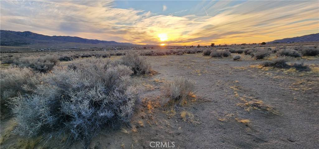 Lucerne Valley, CA 92356,0 Alamo AVE