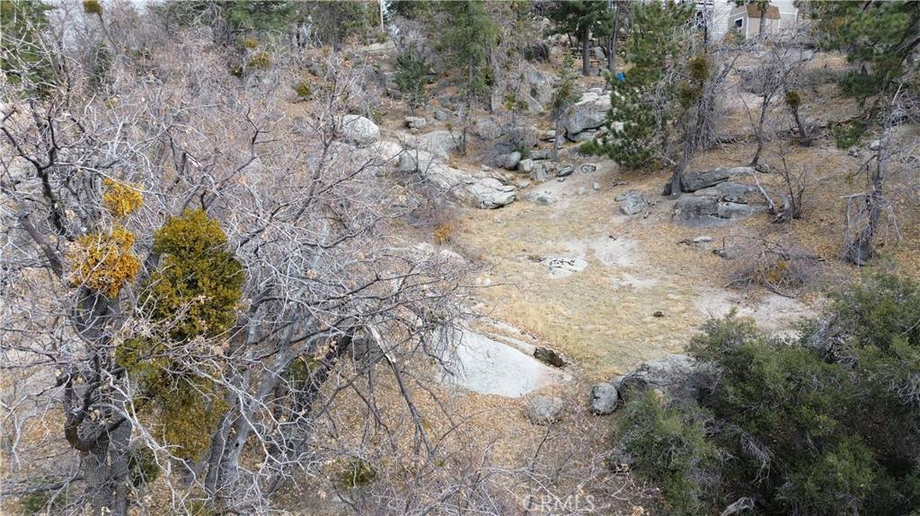 Running Springs, CA 92382,0 Bear DR