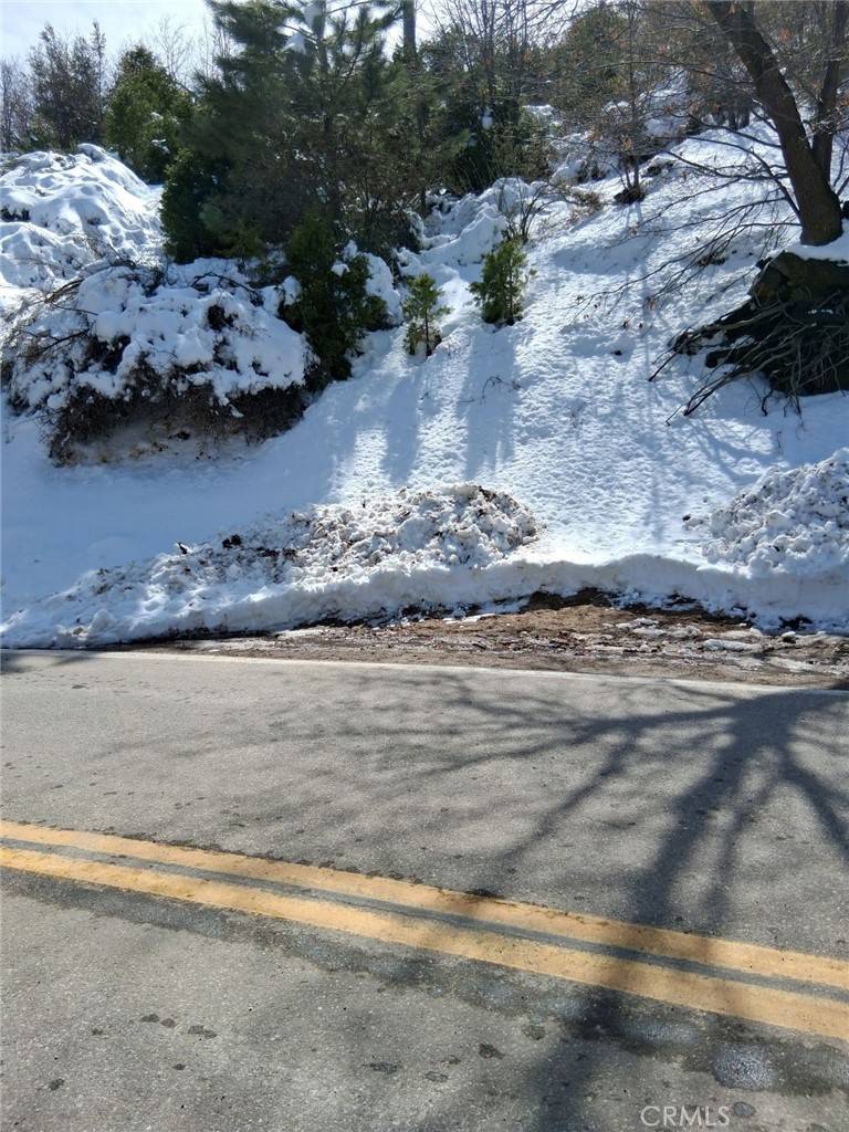 Cedar Glen, CA 92321,29602 Hook Creek RD