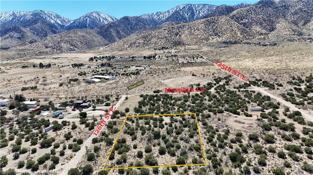Pearblossom, CA 93553,0 126th ST