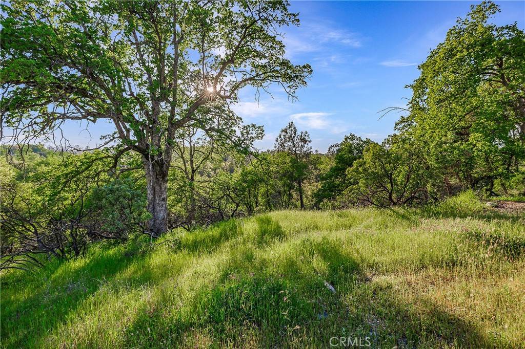 Redding, CA 96003,166 Quartz Hill RD