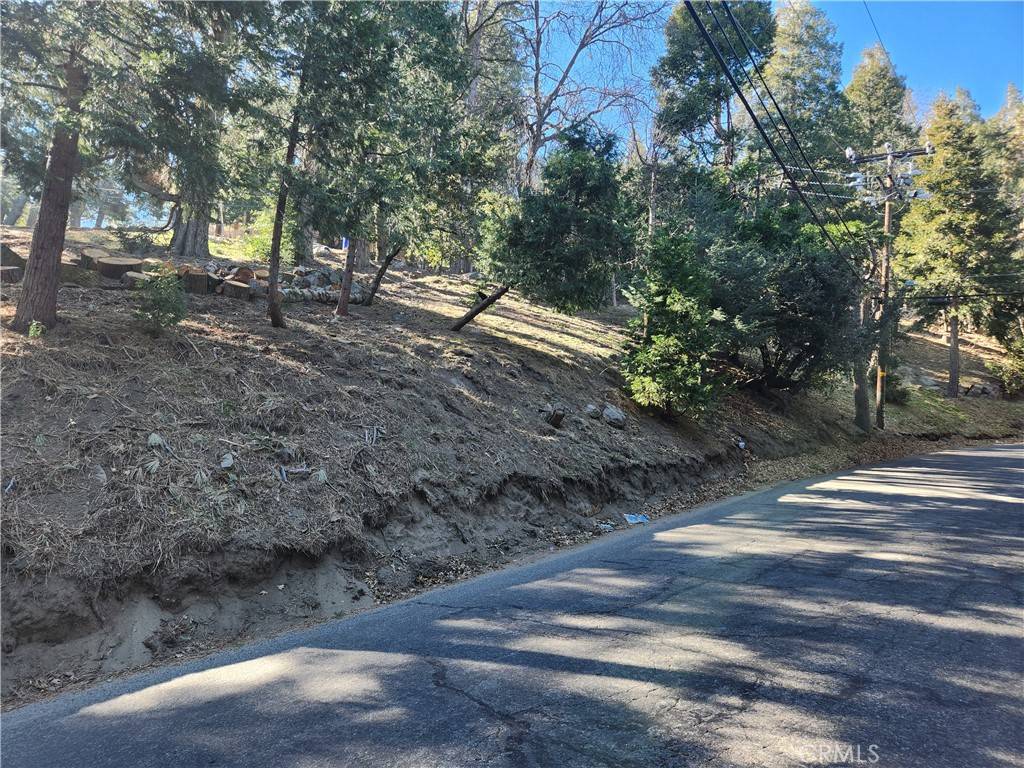 Cedarpines Park, CA 92322,0 Peak CIR