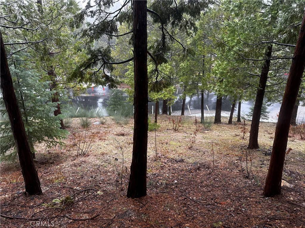 Lake Arrowhead, CA 92352,180 Grass Valley RD