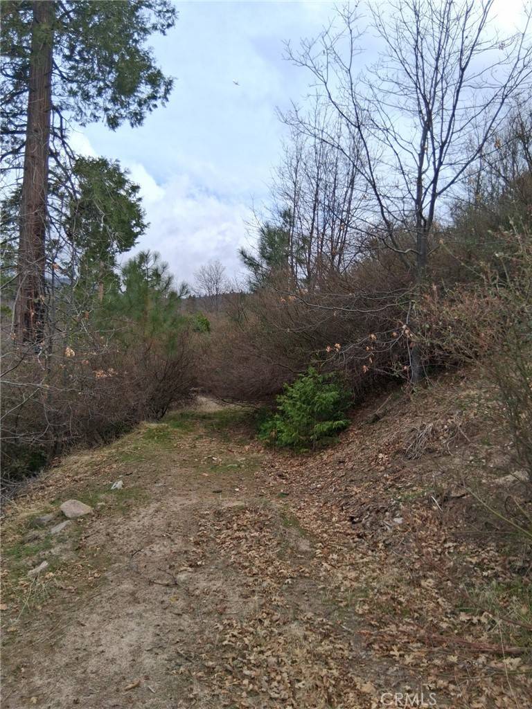 Cedar Glen, CA 92321,0 Pine DR