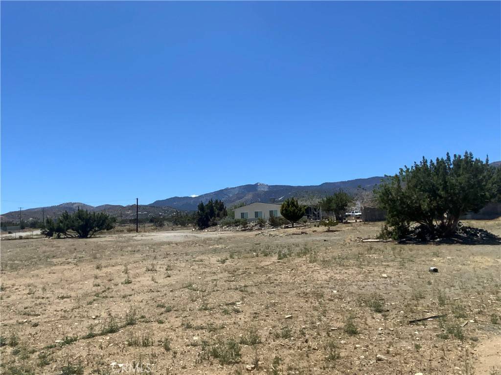 Phelan, CA 92371,9980 Pionero RD