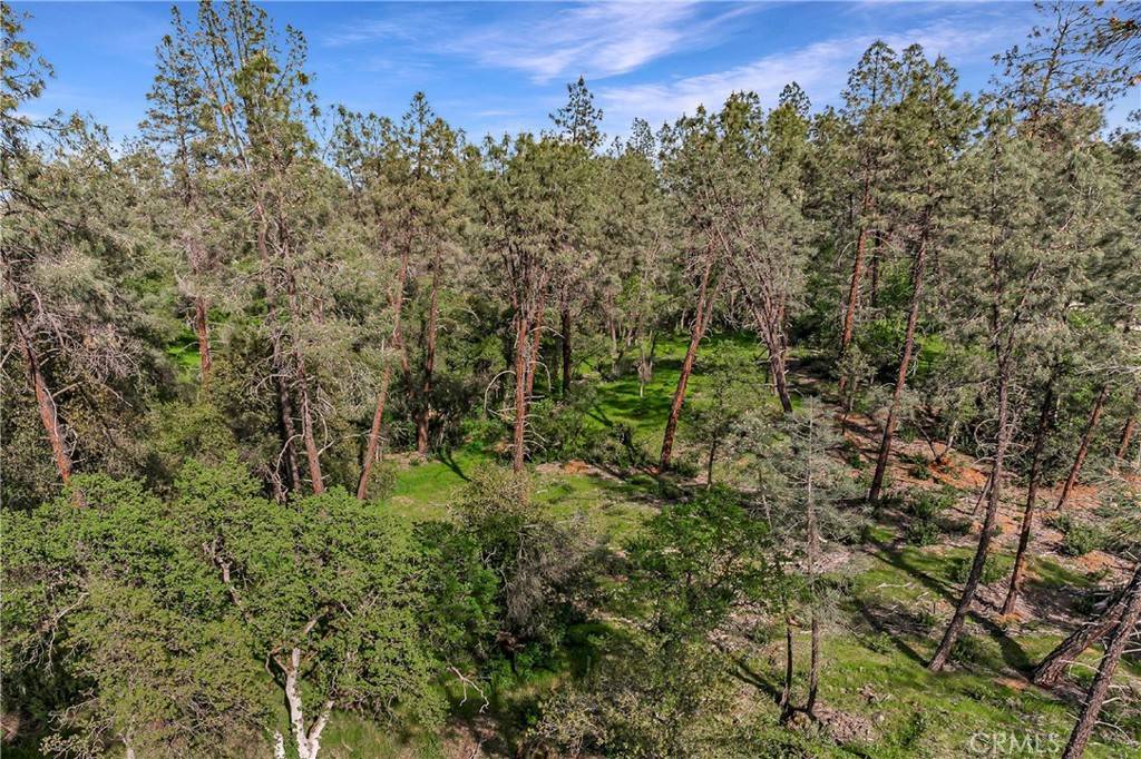 Redding, CA 96001,9200 Silver King RD