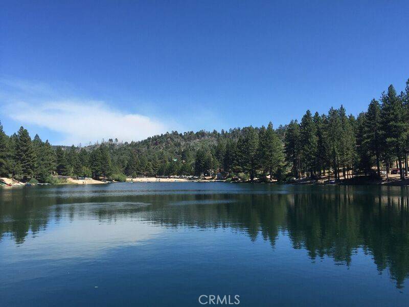 Green Valley Lake, CA 92341,33010 Juniper LN