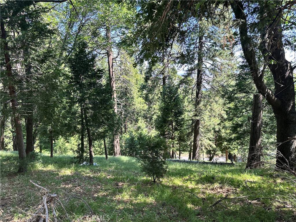 Cedarpines Park, CA 92322,0 Bone DR