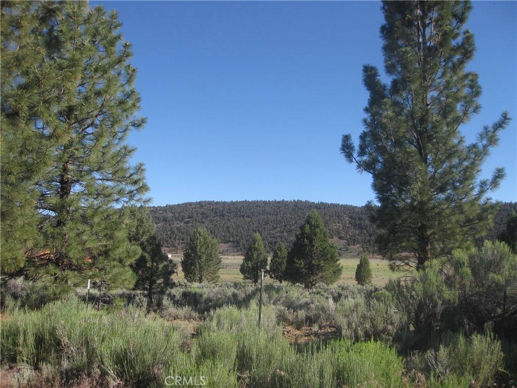 Big Bear City, CA 92314,2805 Cedar LN
