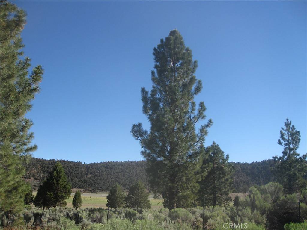 Big Bear City, CA 92314,2805 Cedar LN