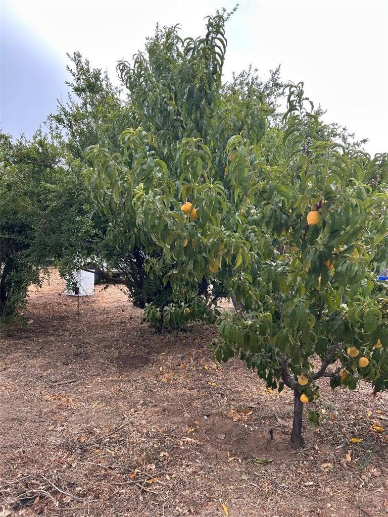 Banning, CA 92220,493 S 16th ST