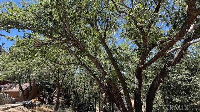 Green Valley Lake, CA 92341,736 Dahlia DR