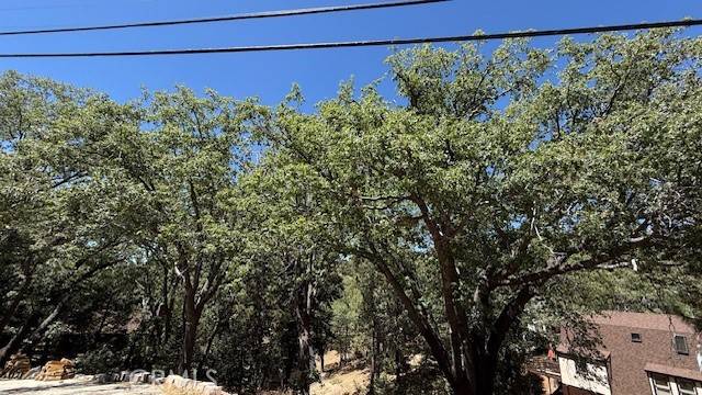 Green Valley Lake, CA 92341,736 Dahlia DR