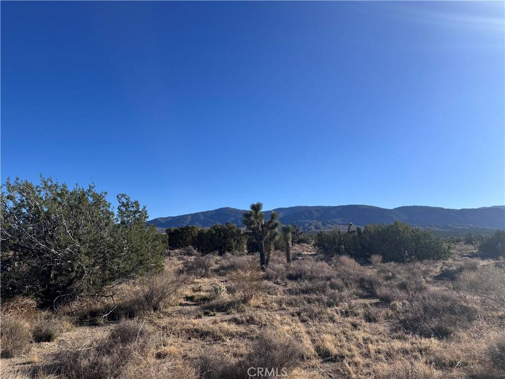 Llano, CA 93544,0 Vac/Antelope