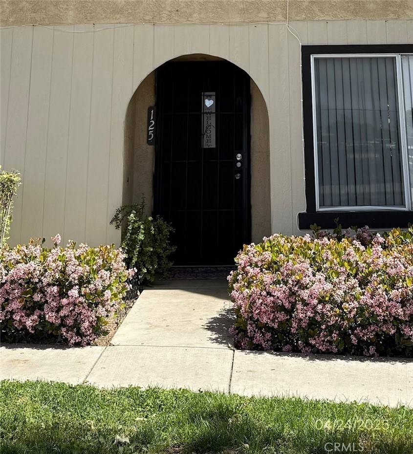 San Jacinto, CA 92583,125 Tiger