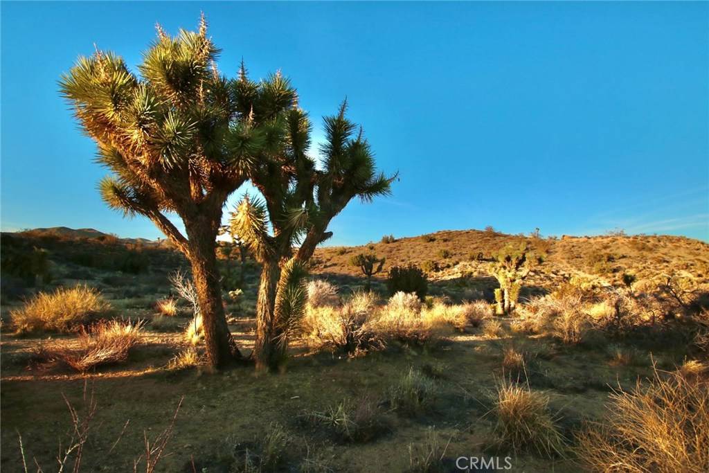 Yucca Valley, CA 92284,0 Onaga/Navajo