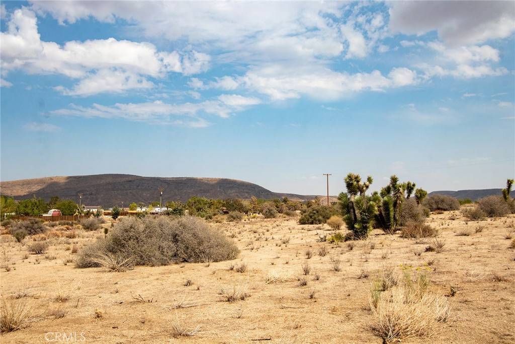 Pioneertown, CA 92268,5545 Red Ryder