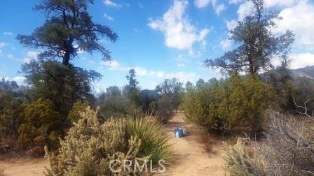 Pinyon Pines, CA 92561,0 Pinesmoke RD
