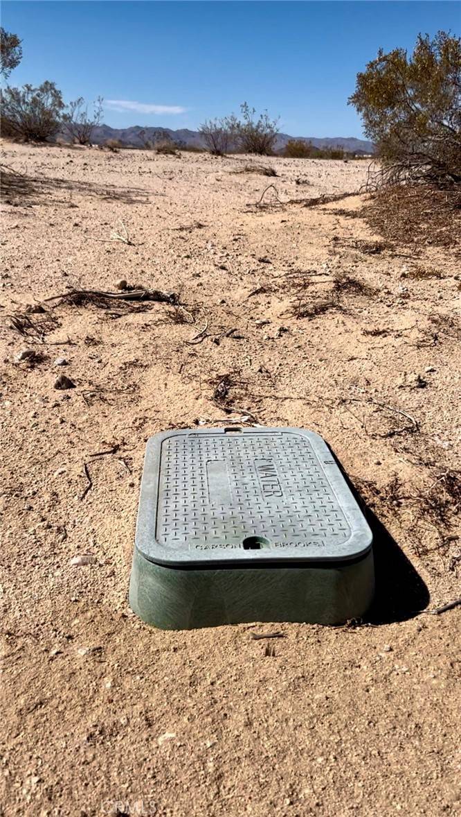 Joshua Tree, CA 92252,123 Mars LN
