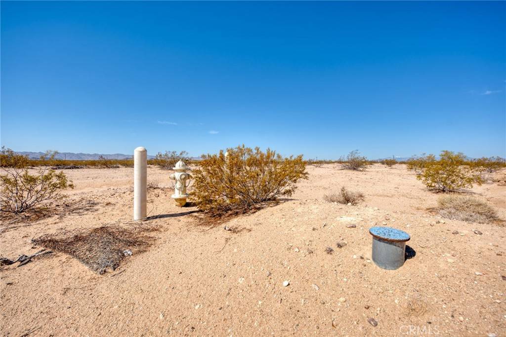Joshua Tree, CA 92252,123 Mars LN