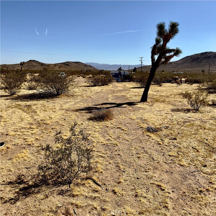 Joshua Tree, CA 92252,59787 Sharp Terrace