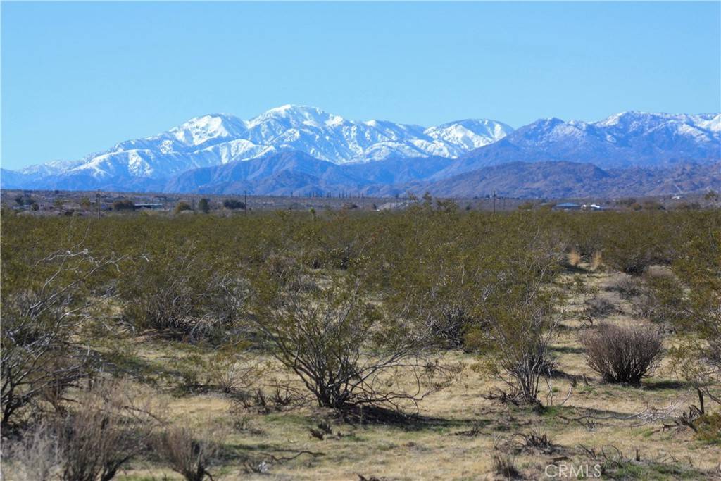 Joshua Tree, CA 92252,0 29 Palms Hwy