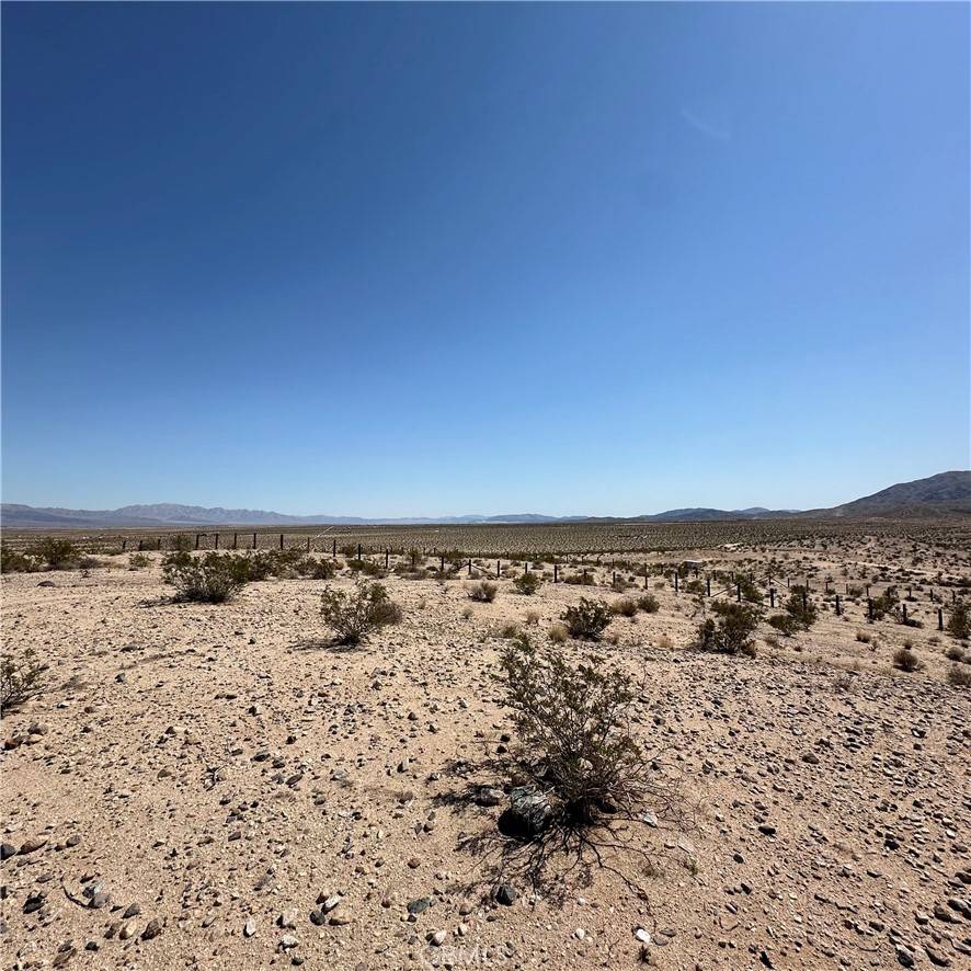 29 Palms, CA 92277,1234 Buena Vista DR