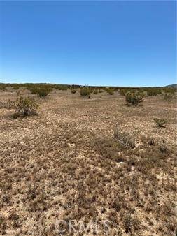 Landers, CA 92284,0 Fetlock