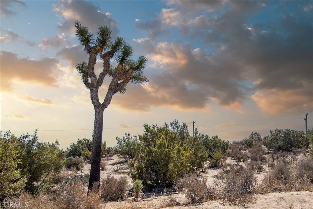 Yucca Valley, CA 92284,56600 Duarte ST