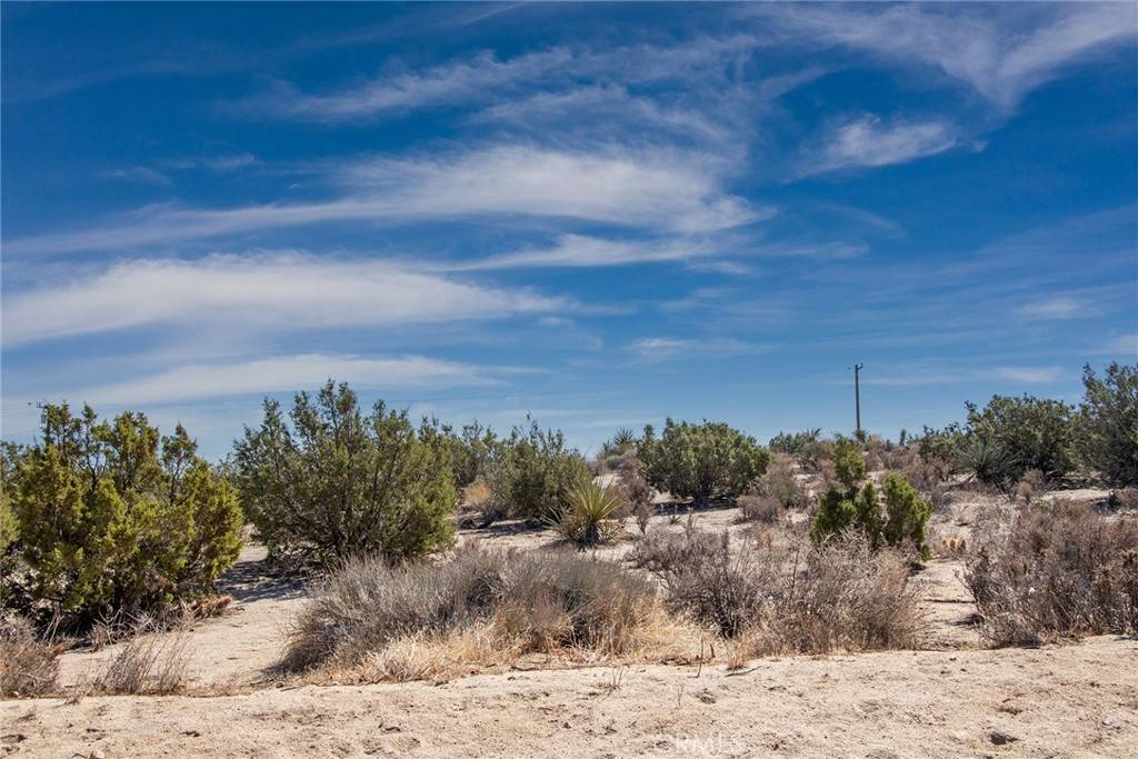 Yucca Valley, CA 92284,56600 Duarte ST