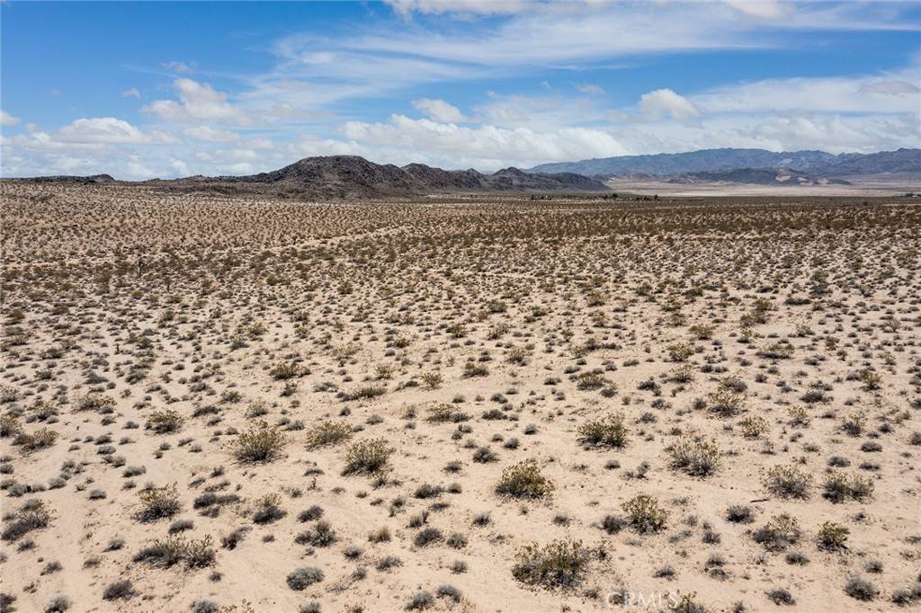 Joshua Tree, CA 92252,1851 Sunever RD