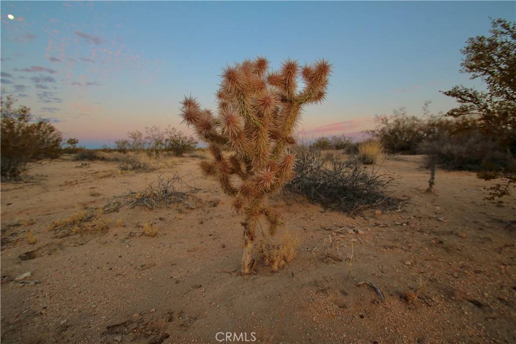 Joshua Tree, CA 92252,0 Milky Way AVE
