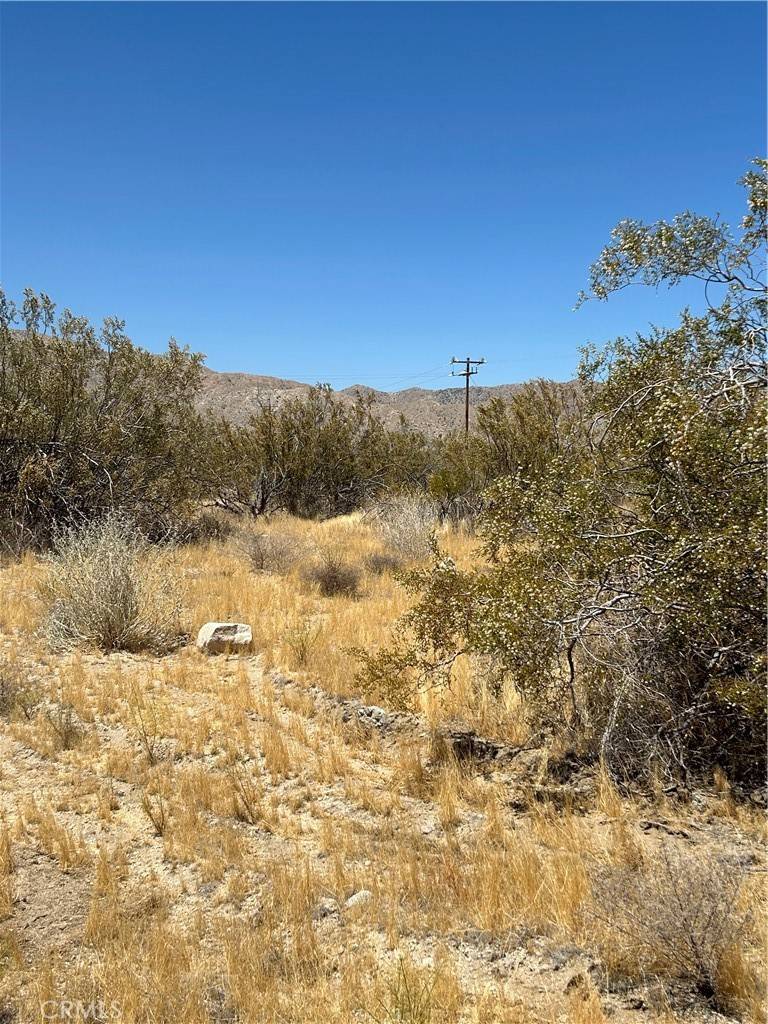 Morongo Valley, CA 92256,0 Green Trl.