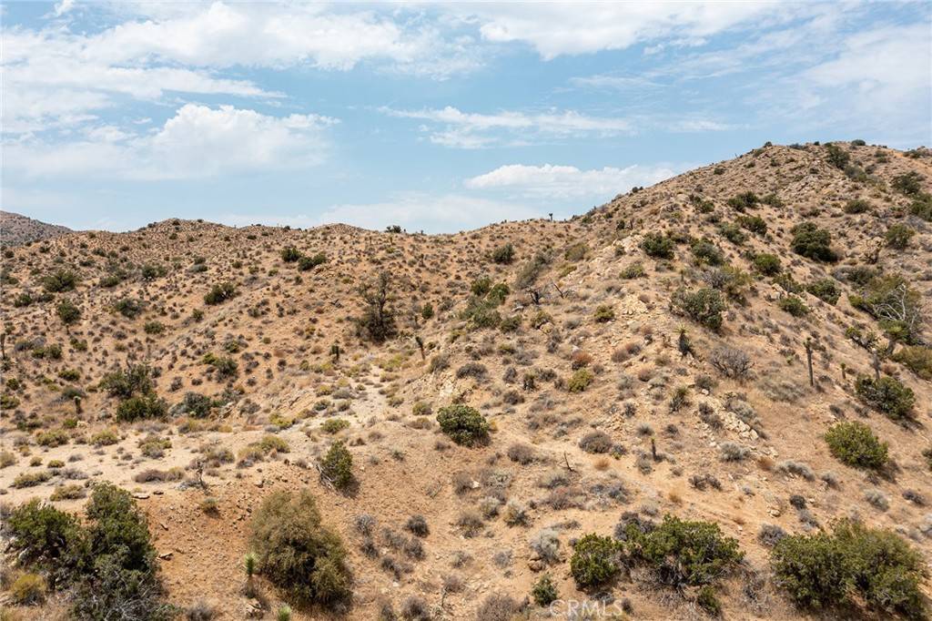 Yucca Valley, CA 92284,55705 Free Gold DR