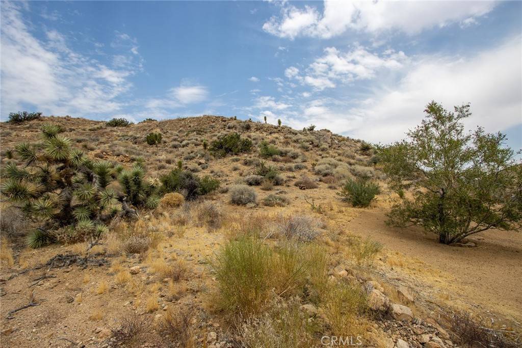 Yucca Valley, CA 92284,55700 Golden Bee DR