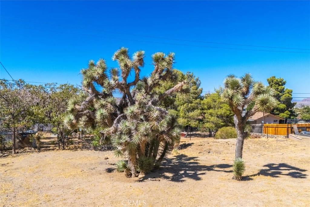 Yucca Valley, CA 92284,0 Hidden Gold DR