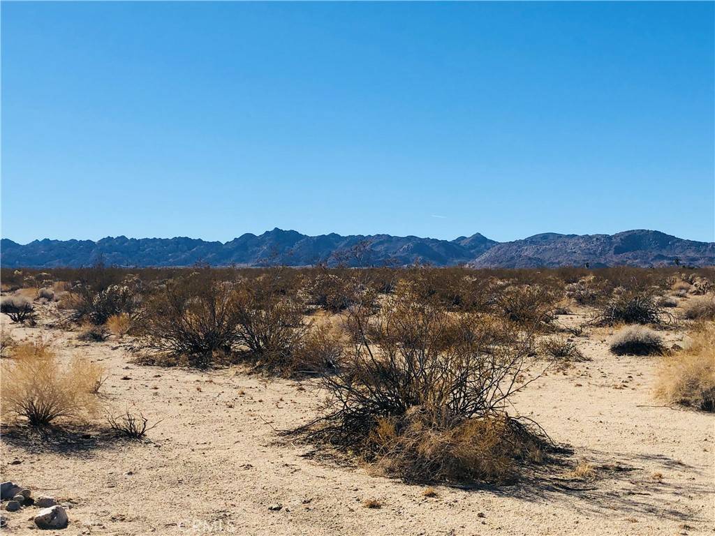 29 Palms, CA 92277,5 Appian WAY