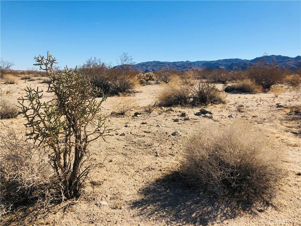 29 Palms, CA 92277,5 Appian WAY
