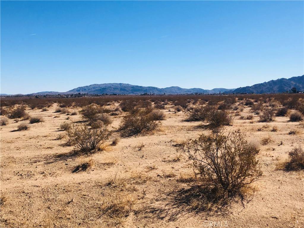 29 Palms, CA 92277,1 Todd LN